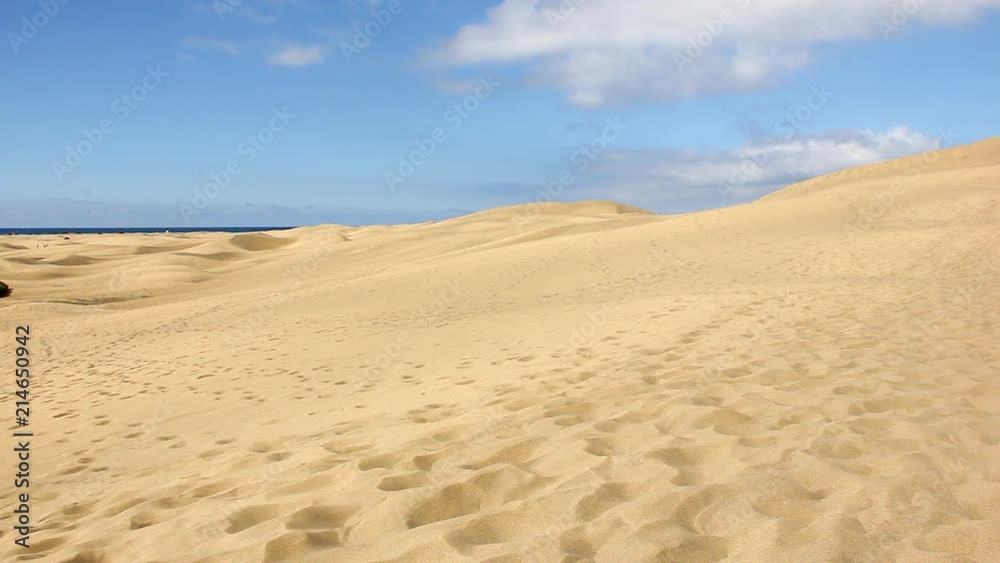 Lost man walks across empty sand dunes desert in Maspalomas, Gran Canaria. Young tourist enjoys wonder views of famous landmark in Canary Islands, Spain. Thirst, adversity, travel destination concepts