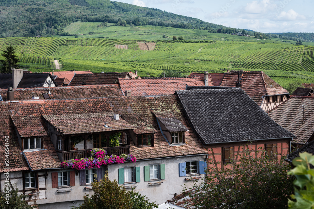 Vineyards across the rooftops of the Alsace village of Hunawihr, France