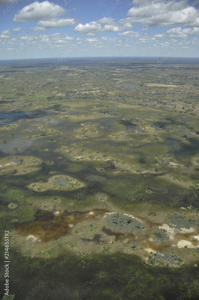 Botswana: Airshot from the Okavango delta swamps in the Central-Kalahari
