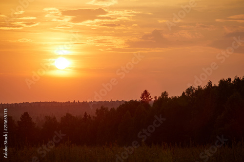 Sunset over the forest. Red sun over the horizon