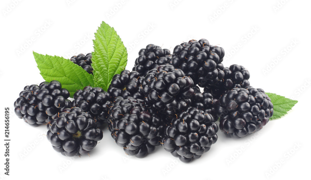 blackberries with green leaf isolated on white background. macro blackberries with green leaf isolated on white background. macro
