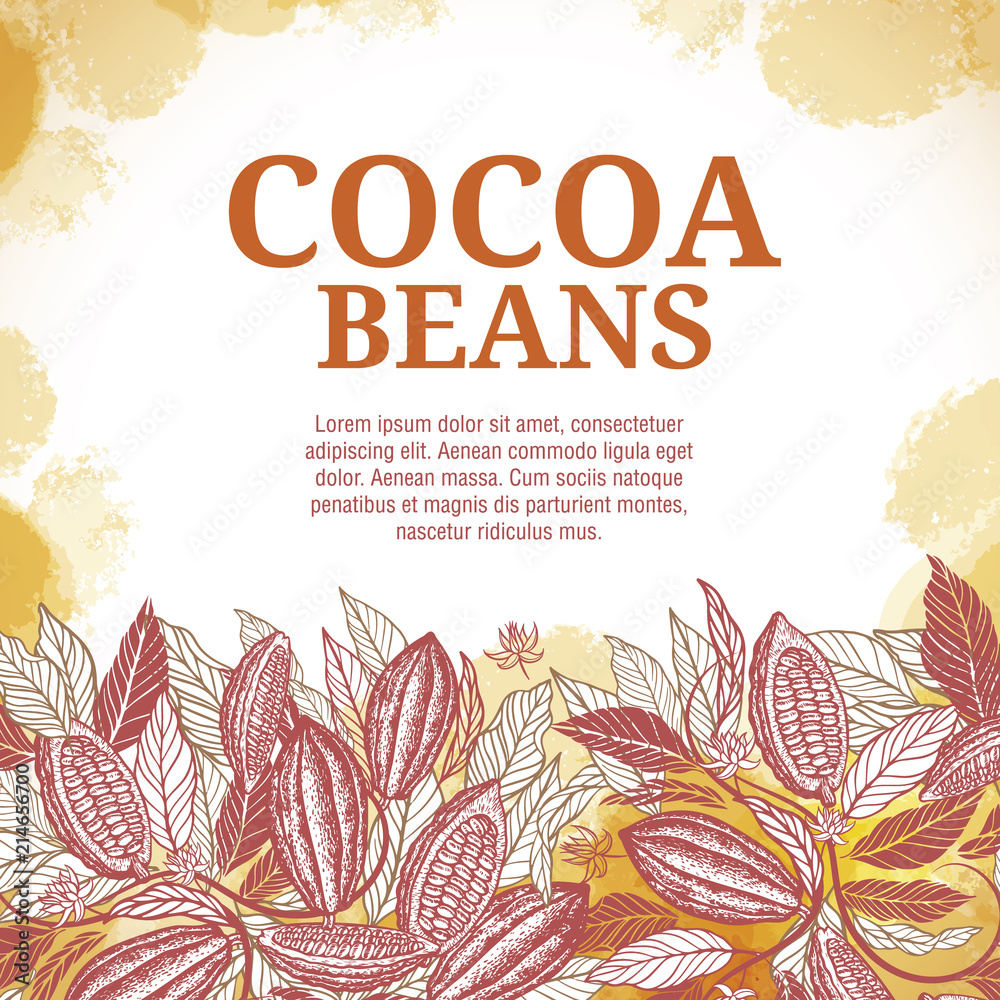 Fototapeta premium Cacao beans plant, Vector exotic cacao plants