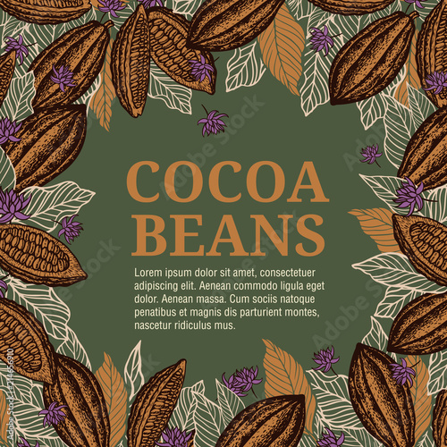 Cacao beans plant, Vector exotic cacao plants