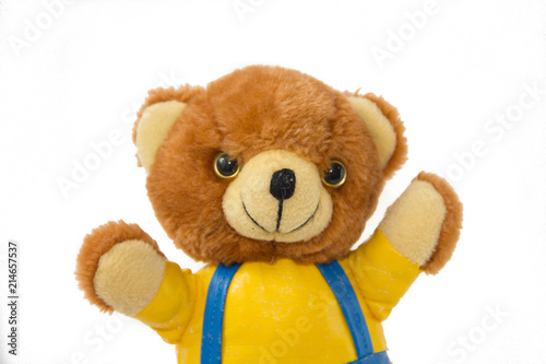 Soft toy Bear on white background