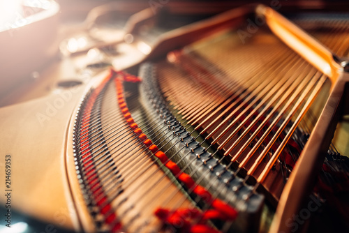 Inside grand piano, strings closeup, nobody photo