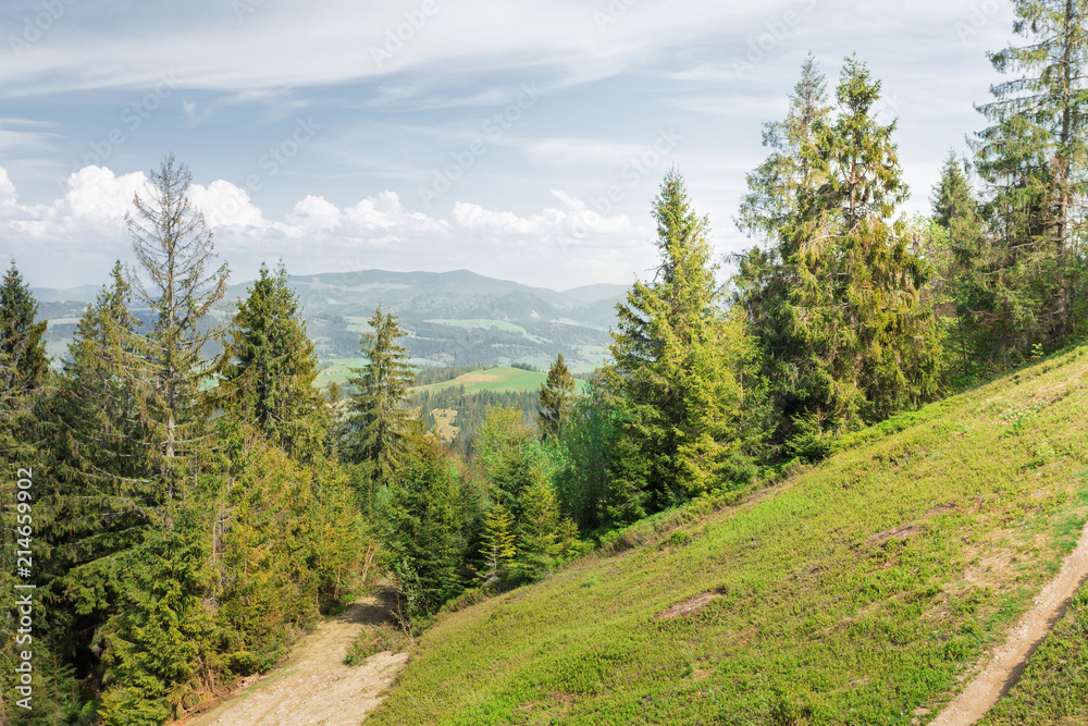 A beautiful summer or spring mountain landscape with a road, a coniferous forest in the foreground and mountains in the background