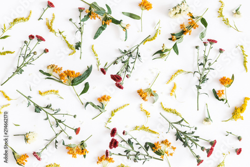Autumn floral composition. Pattern made of fresh flowers on white background. Autumn, fall concept. Flat lay, top view
