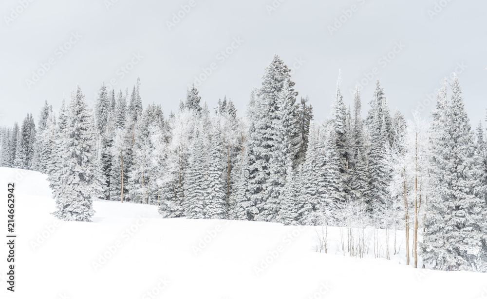 Obraz premium snowfall