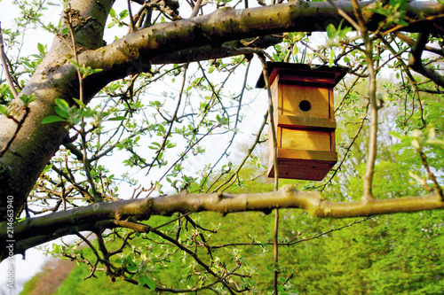 Vogelhäuschen