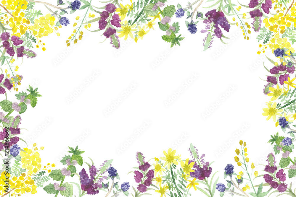 The pattern of the useful field of plants and flowers. Set of bright flowers and green leaves watercolor frame The pattern of the useful field of plants and flowers. Set of bright flowers and green leaves watercolor frame