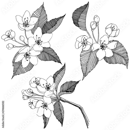 Apple tree in a vector style isolated. Full name of the plant: apple tree. Vector flower for background, texture, wrapper pattern, frame or border.