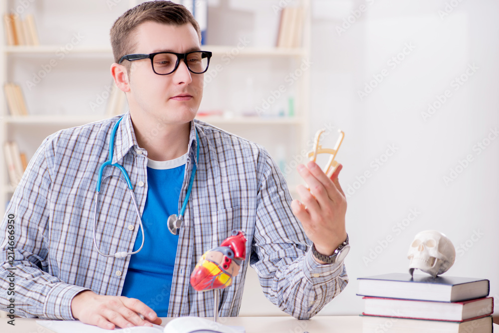 Medical student studying heart in classroom during lecture Medical student studying heart in classroom during lecture