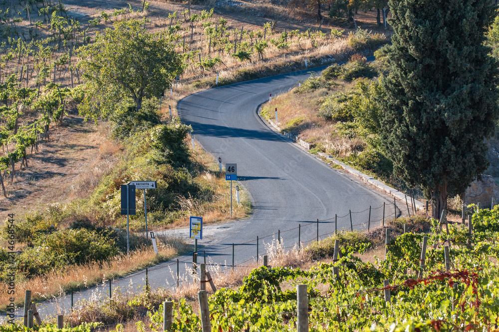 petite route en zig-zag dans les vignobles de toscane petite route en zig-zag dans les vignobles de toscane
