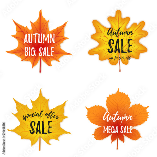 Vector autumn season banner collection. Set of four october leaves with greeting inscription, fall.