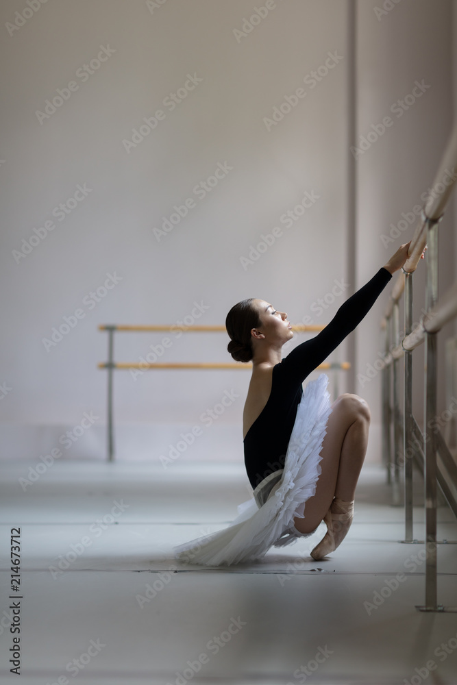 Beautiful ballerina training in the class Beautiful ballerina training in the class