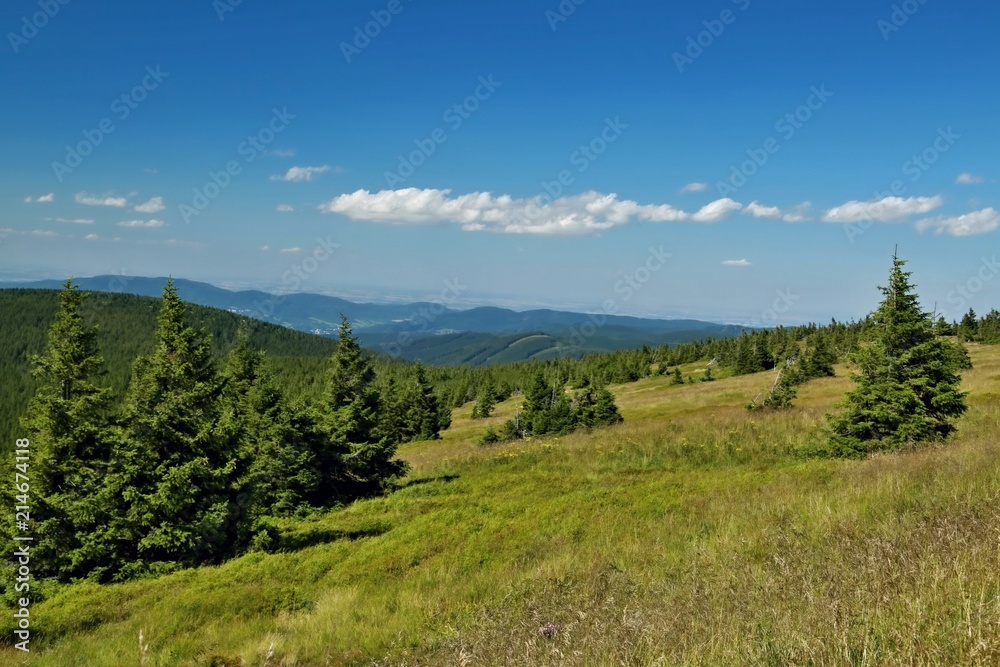 Panorama landscape view of green trees and hills, meadow, valley, blue sky, white clouds, sunny summer day in Czech mountains Jeseniky, Europe Panorama landscape view of green trees and hills, meadow, valley, blue sky, white clouds, sunny summer day in Czech mountains Jeseniky, Europe