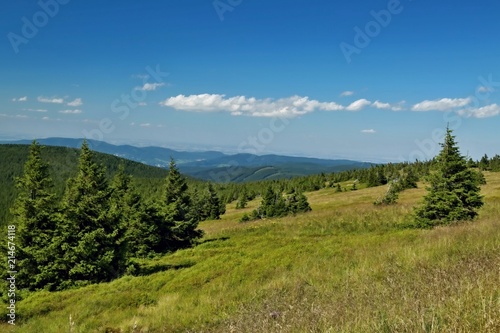 Panorama landscape view of green trees and hills, meadow, valley, blue sky, white clouds, sunny summer day in Czech mountains Jeseniky, Europe