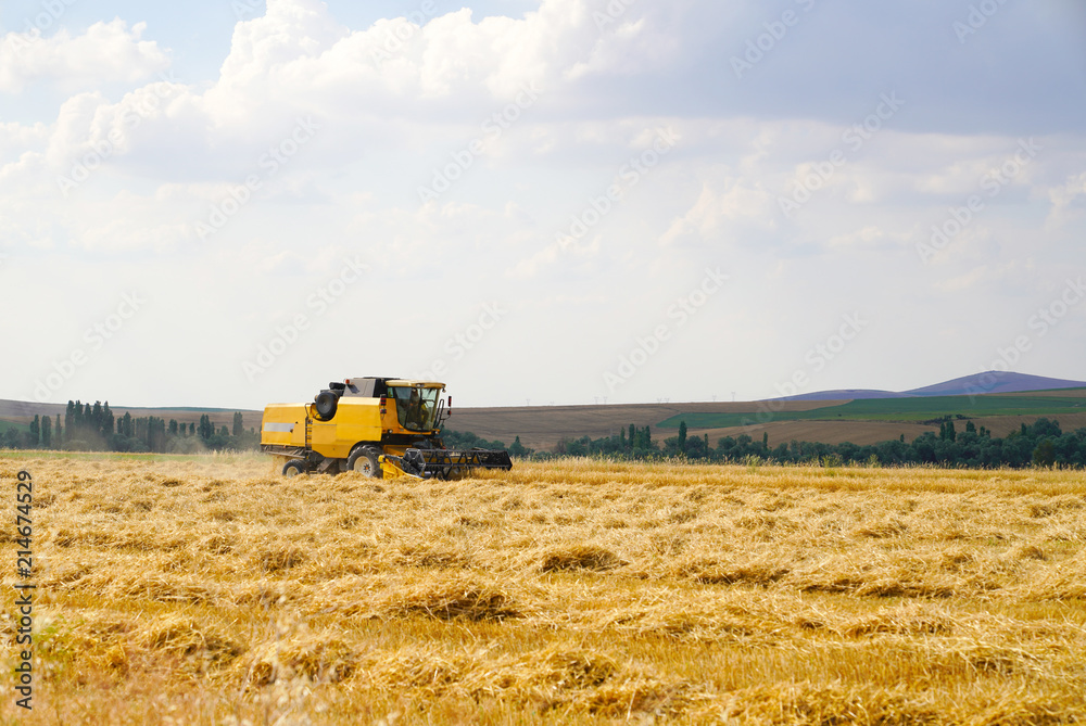 Fototapeta premium Giant yellow working wheat harvester combine machine on gold wheat fields in summer, Ankara, Turkey