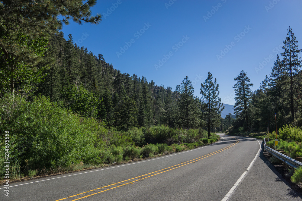 Forested Valley in Southern California