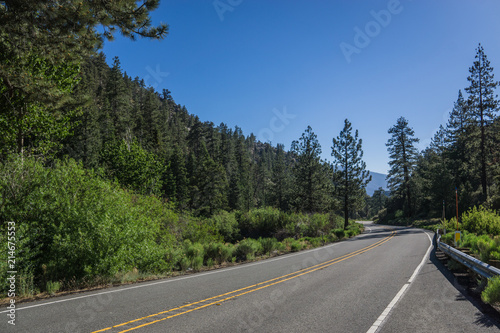 Forested Valley in Southern California © kenkistler1