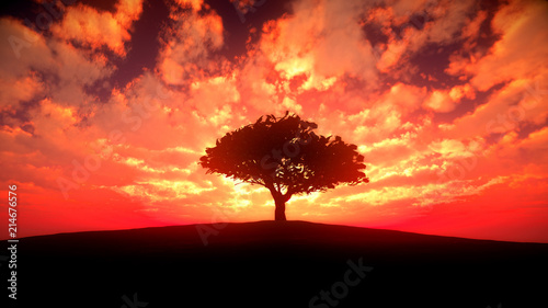 tree sunset in field