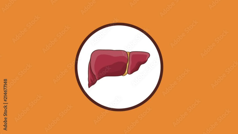 Gigesty system and organs inside round symbol High definition colorful scenes animation Gigesty system and organs inside round symbol High definition colorful scenes animation