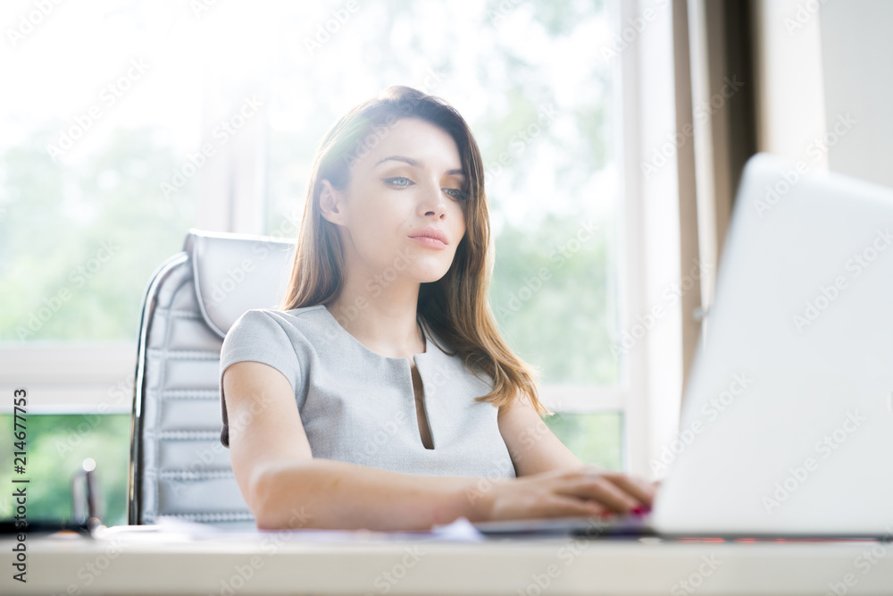 Portrait of beautiful businesswoman working at desk in office and using laptop sitting against window in sunlight Portrait of beautiful businesswoman working at desk in office and using laptop sitting against window in sunlight