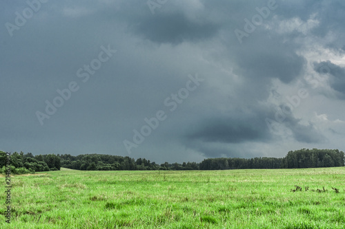 dark rain clouds and green field, rainy season in summer, dramatic landscape © Aliaksei