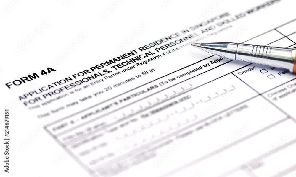 Obraz premium Visa application form details