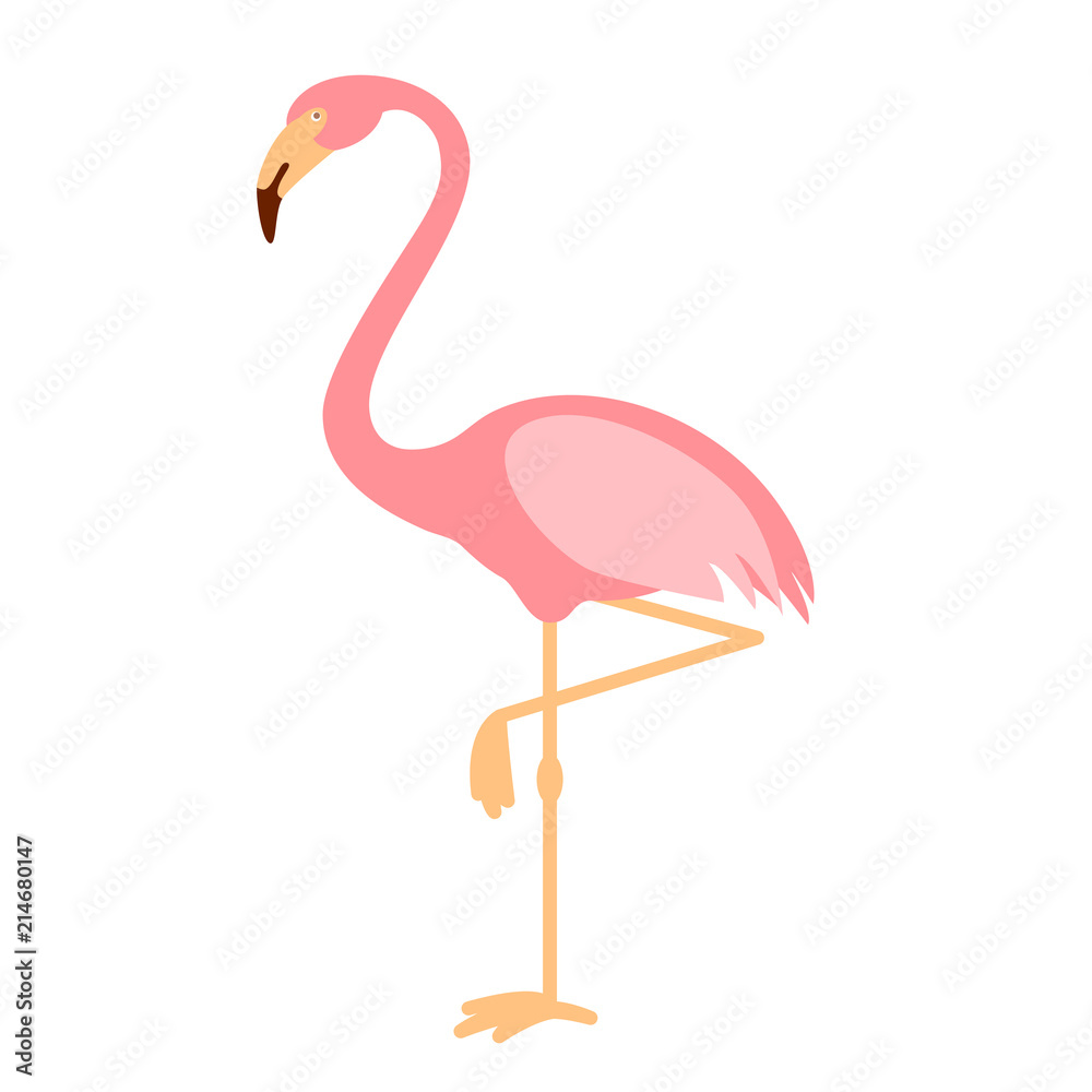 Pink Flamingo isolated vector illustration