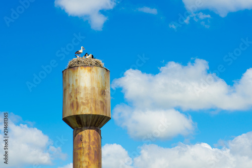 Nest stork on the old water tower. Against the sky.