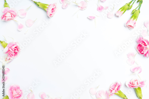 carnations flowers on a white © onairjiw