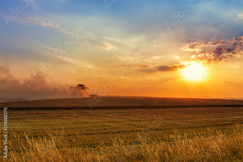 Modern harvest scene  combine harvester raising dust going on large field in colorful dramatic sunset.