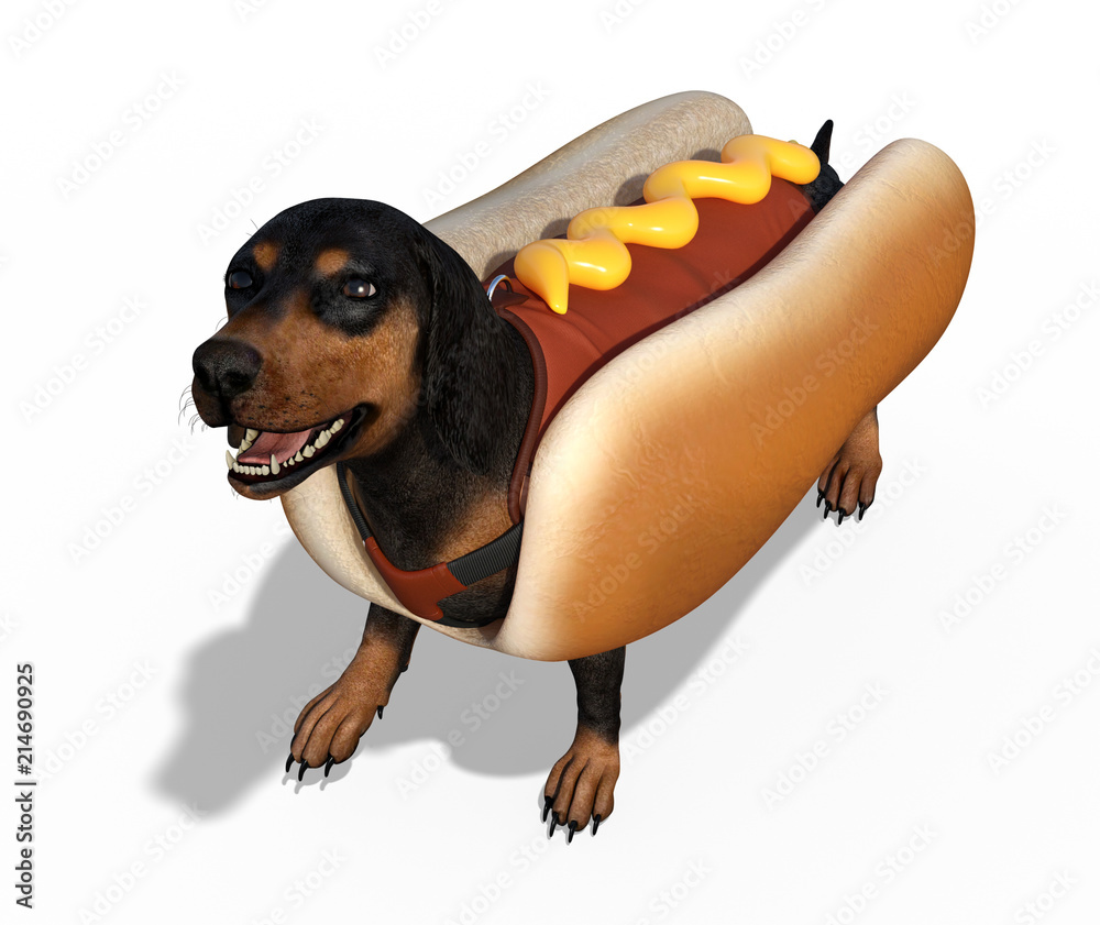 Dachshund with Hot Dog Costume Stock Illustration | Adobe Stock