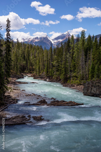 River flowing in the canyon surrounded by the beautiful Canadian Rockies. Taken in Natural Bridge near Emerald Lake, British Columbia, Canada.