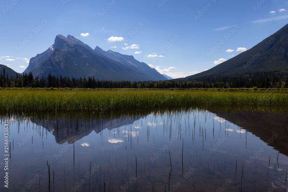 Vermilion Lakes during a vibrant sunny summer day. Taken in Banff, Alberta, Canada.