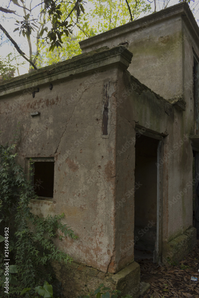 Fototapeta premium haunted house