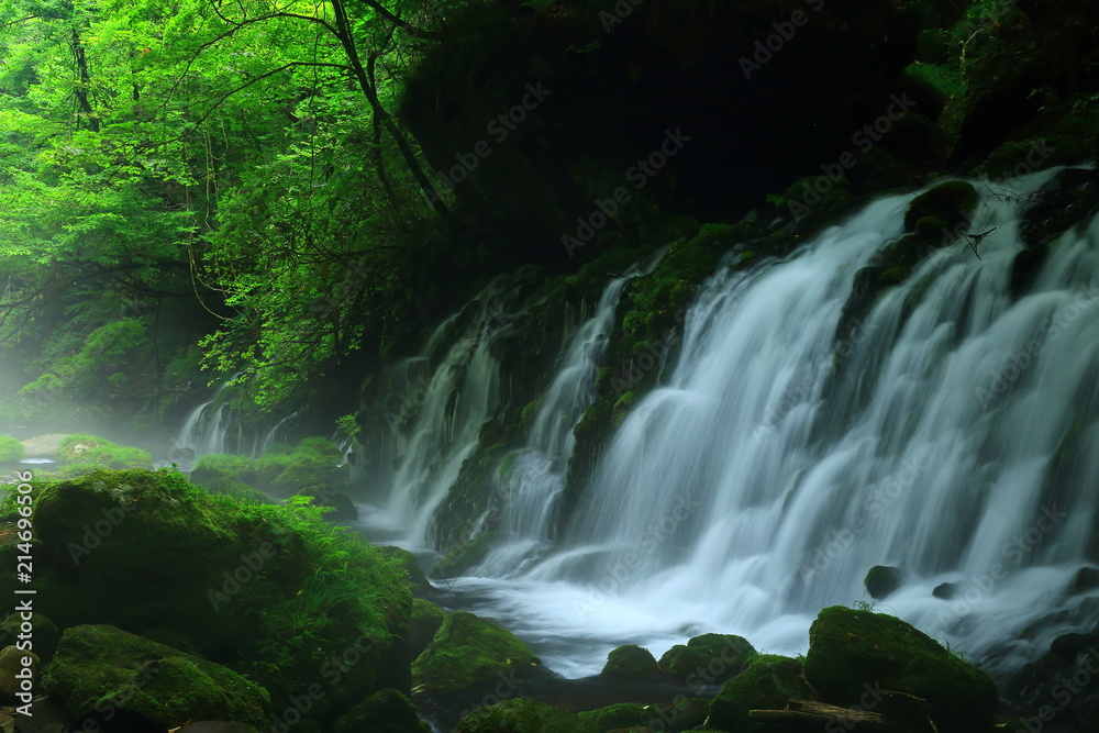Obraz premium 夏の元滝伏流水