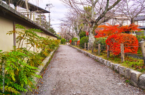 晩秋の京都、朝の哲学の道からみた景色 