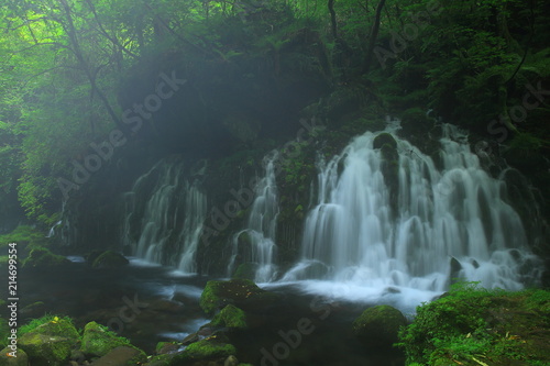 夏の元滝伏流水 © yspbqh14