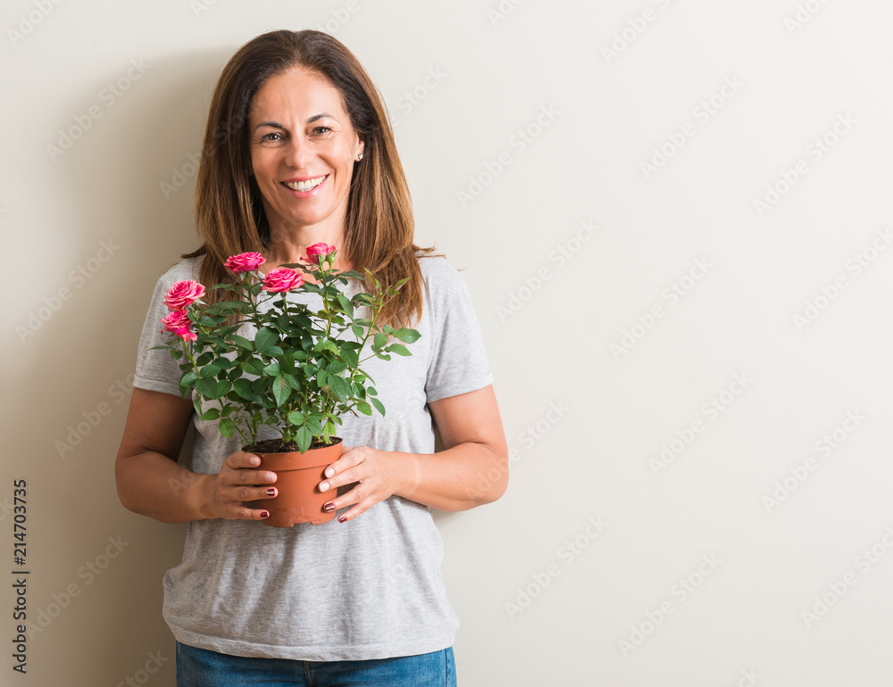 Middle age woman holding roses flowers on pot with a happy face standing and smiling with a confident smile showing teeth Middle age woman holding roses flowers on pot with a happy face standing and smiling with a confident smile showing teeth