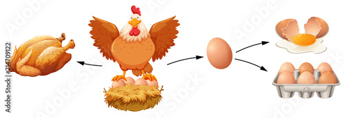 Chicken product on white background