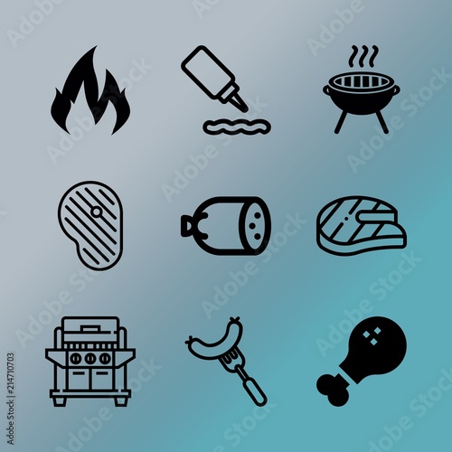 Vector icon set about barbecue with 9 icons related to backyard, dangerous, closeup, background, grilling, picnic, thigh, rare, cook and preparation