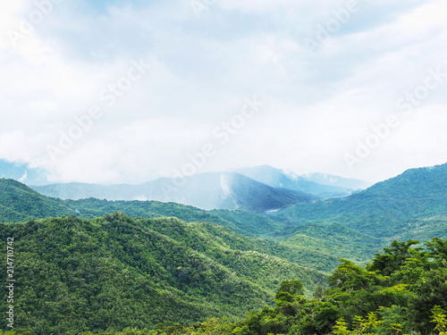 green forest mountains with white fog