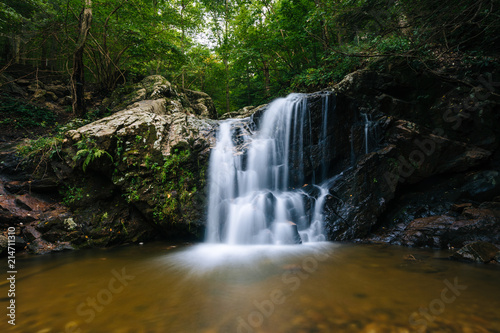 Fototapeta Naklejka Na Ścianę i Meble -  Cascade Falls, at Patapsco Valley State Park, in Maryland.