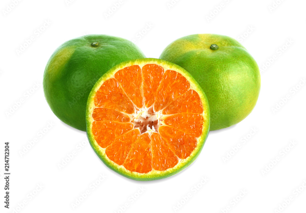 green tangerine on white background. green tangerine on white background.