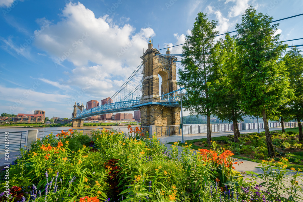 Flowers and the John A. Roebling Suspension Bridge in Cincinnati, Ohio