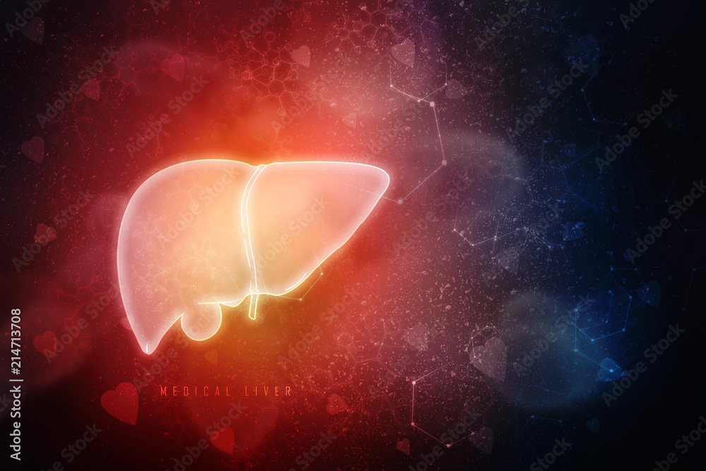 Realistic human liver 2d illustration
Realistic human liver 2d illustration