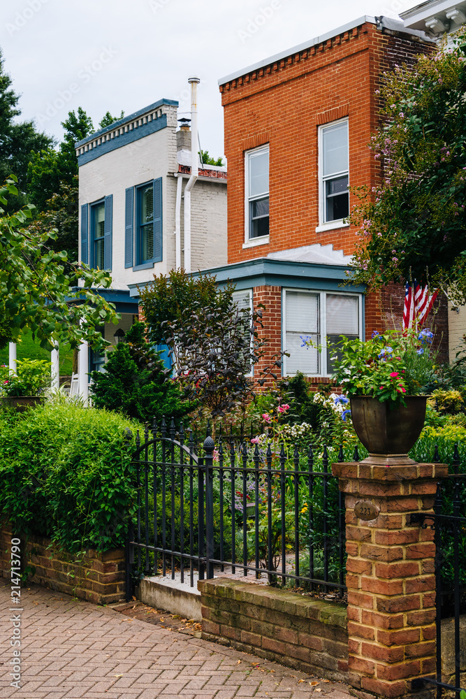 Houses on Montgomery Street in Federal Hill, Baltimore, Maryland