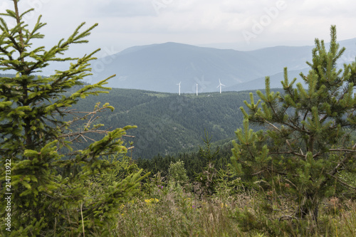 Wind power plant on a hill.